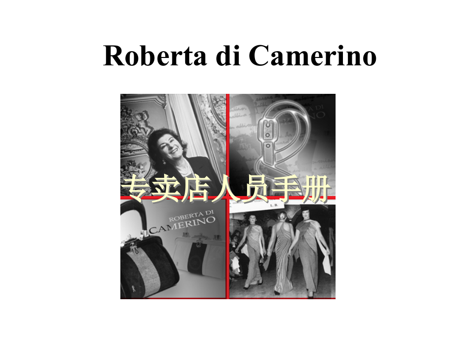 Roberta di Camerino.ppt_第1页