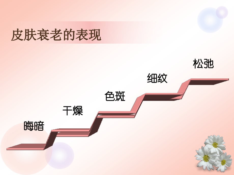 B+B活细胞护肤素.ppt_第2页