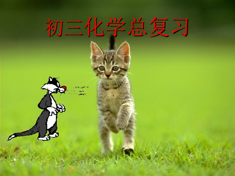 化学总复习1.ppt_第1页