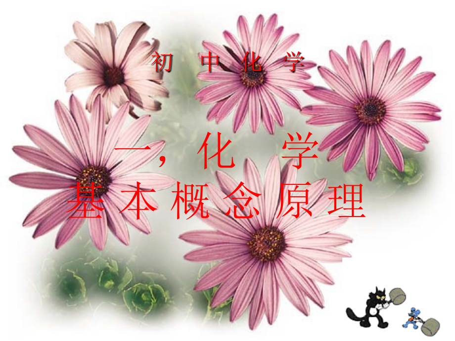 化学总复习1.ppt_第2页