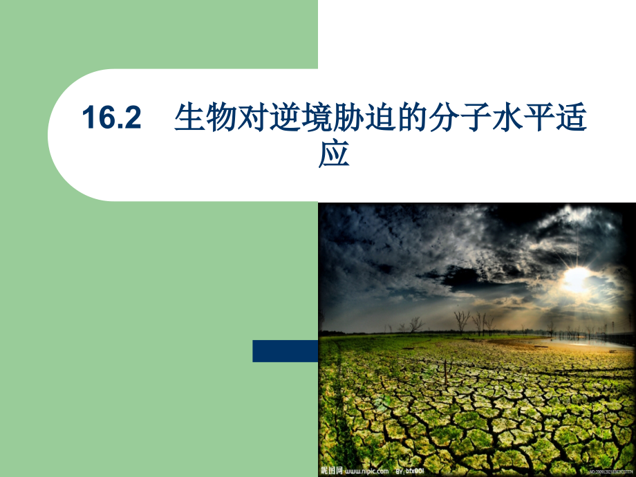 生态学.16章.ppt_第1页