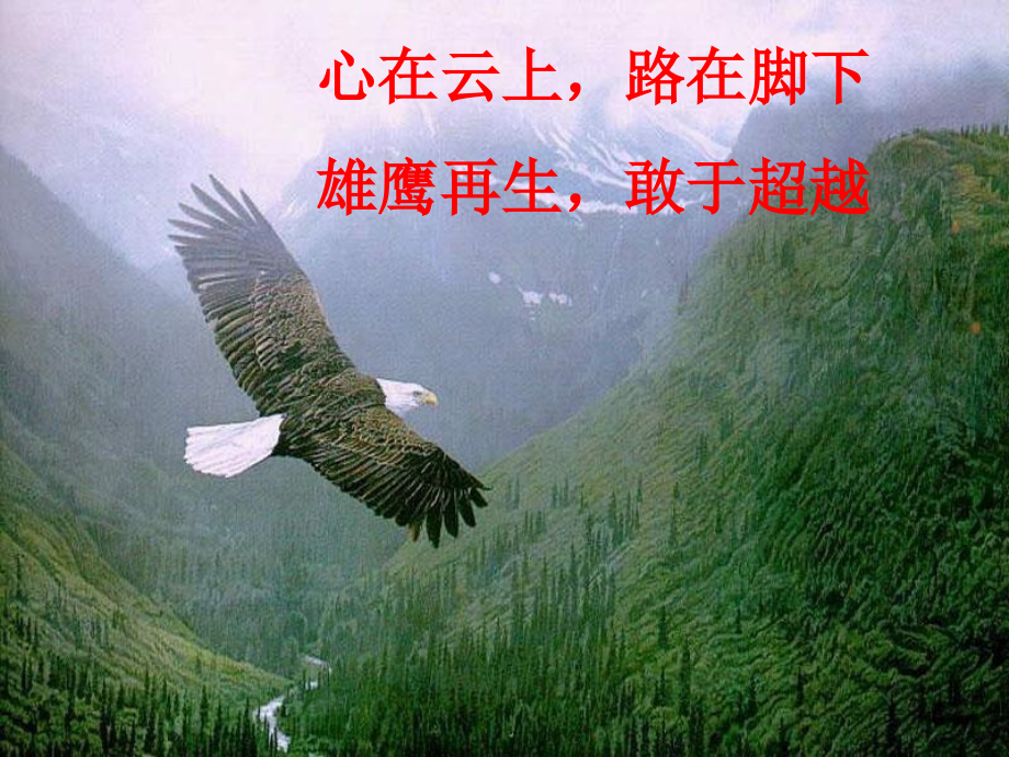 第二章整式的加减复习课件(人教七年级上).ppt_第1页