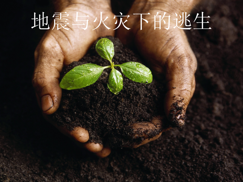 地震与火灾下的逃生.ppt_第1页