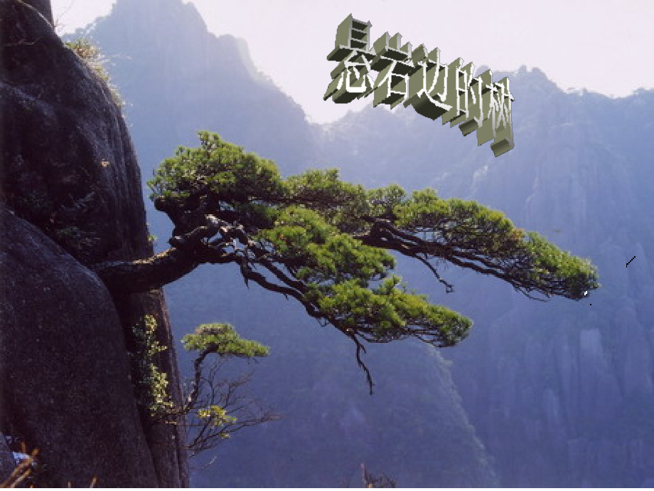 《悬岩边的树》.ppt_第1页