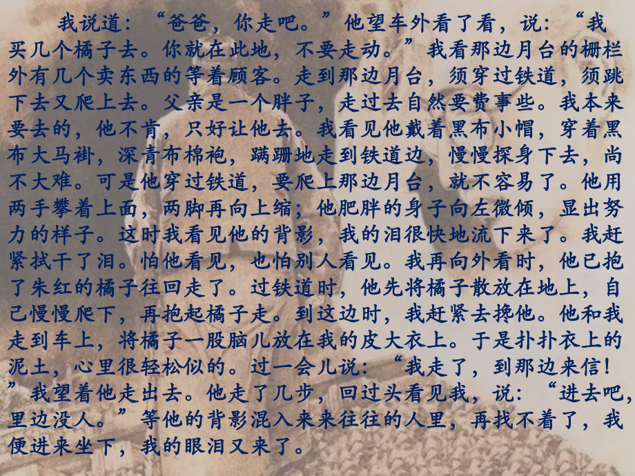 第七课-《海底总动员》：父子亲情的颂歌.pptx_第2页