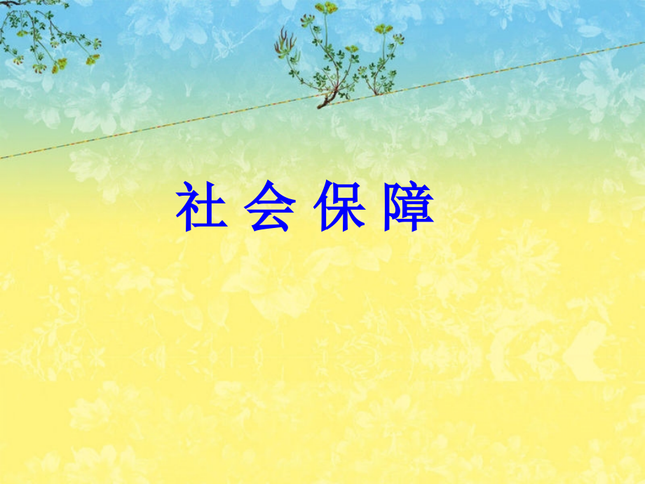 社会保障3.ppt_第1页