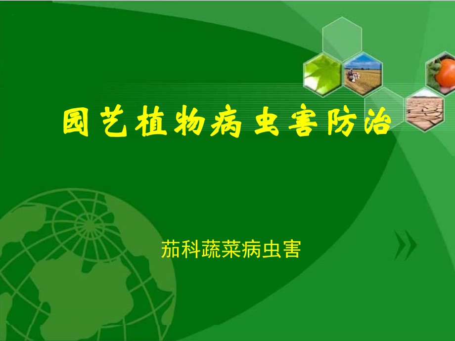 茄果类病虫害.ppt_第1页