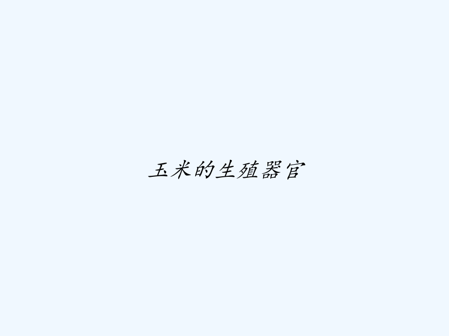 玉米的生殖器官.ppt_第1页