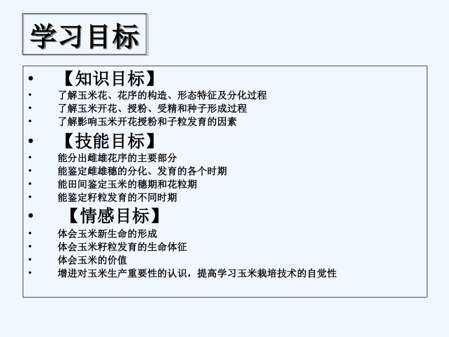 玉米的生殖器官.ppt_第2页
