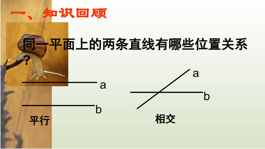 《两条直线的位置关系》-(2).ppt_第2页
