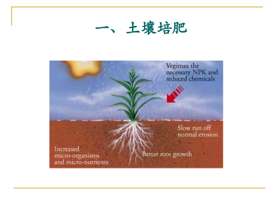 第四节安全优质农产品的土壤环境质量控制.ppt_第2页