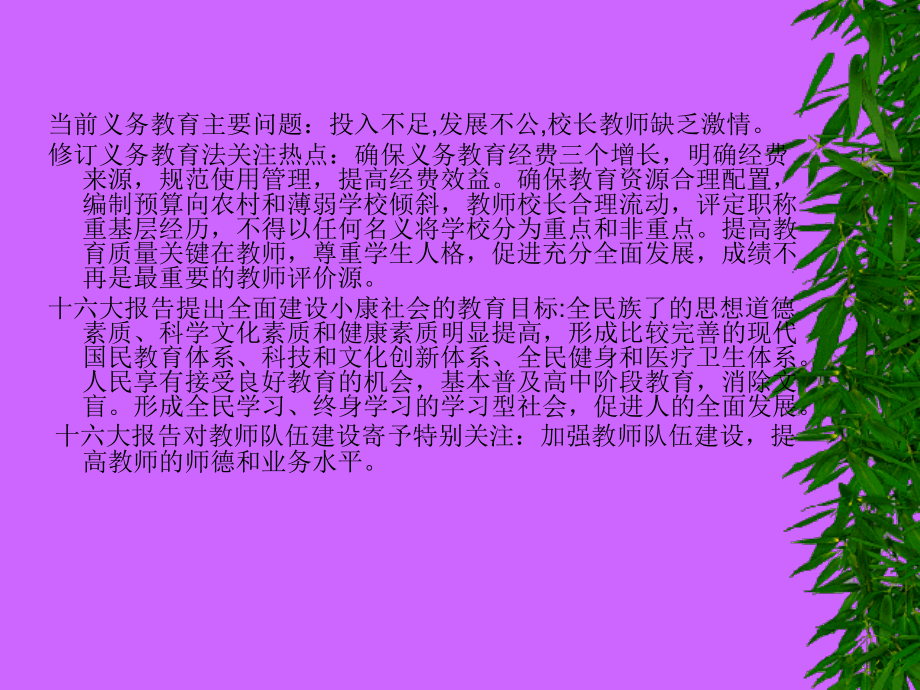 加强教师队伍建设 促进基础教育可持续发展.ppt_第2页