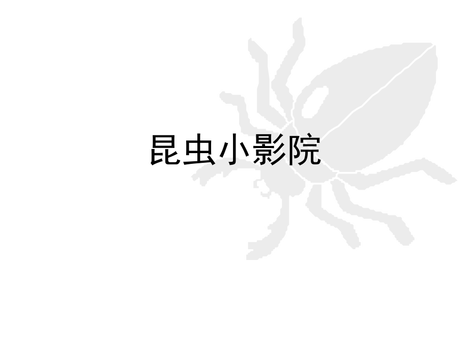 昆虫小影院.ppt_第1页