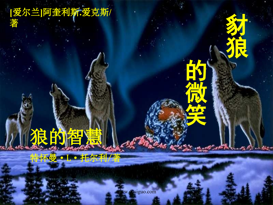 商场人--狼的智慧.ppt_第1页