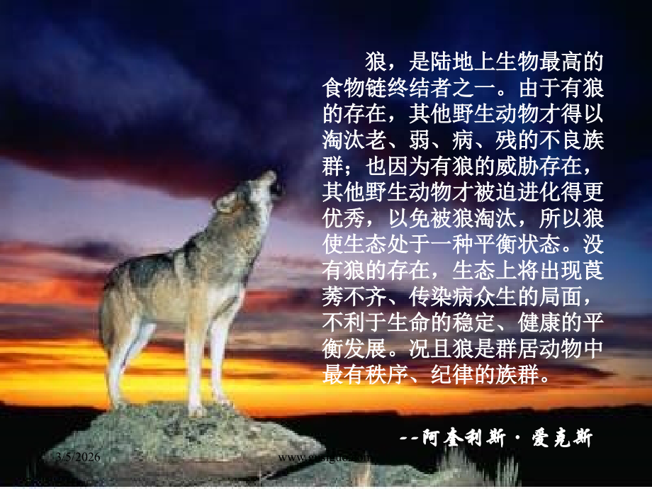 商场人--狼的智慧.ppt_第2页