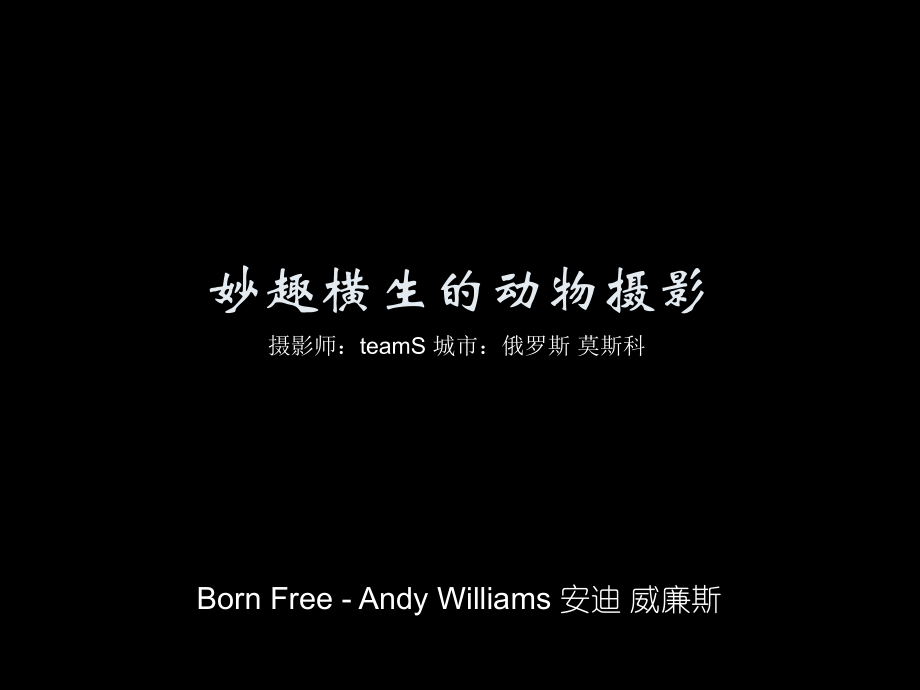 妙趣横生的动物摄影.ppt_第1页
