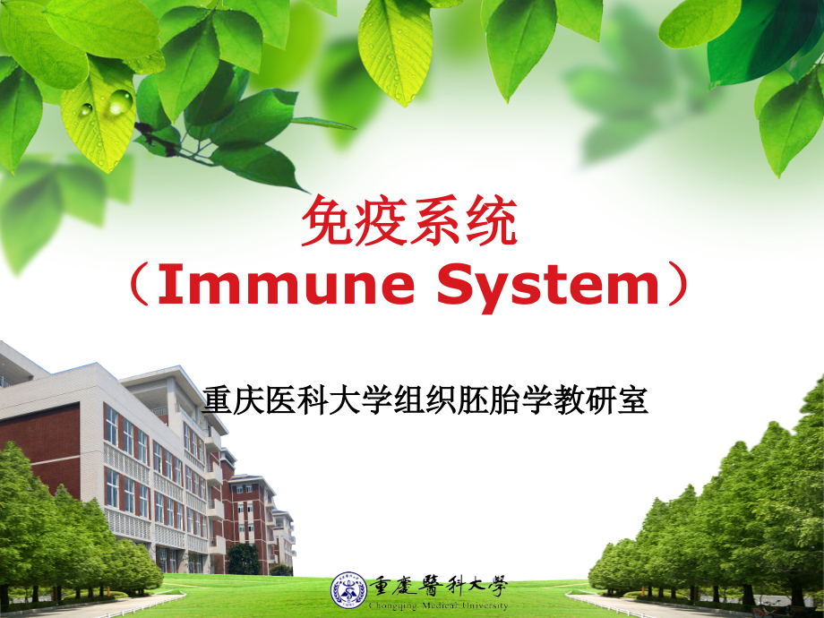 免疫系统6.ppt_第1页