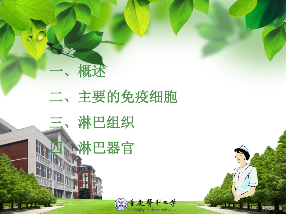 免疫系统6.ppt_第2页