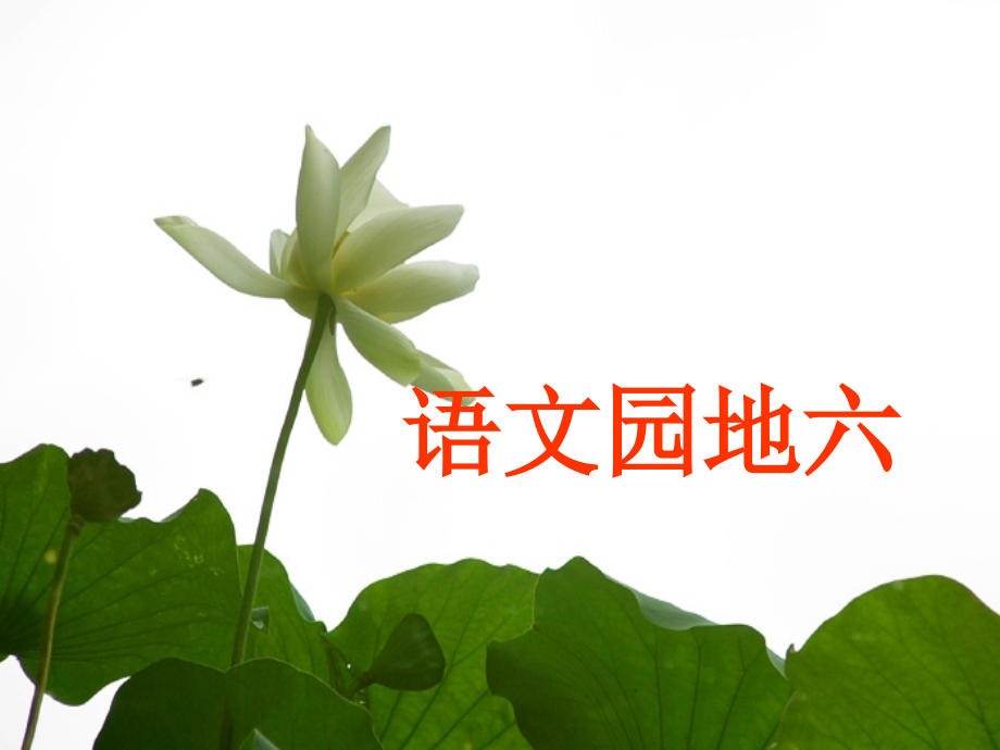 人教版第五册语文园地六.ppt_第1页