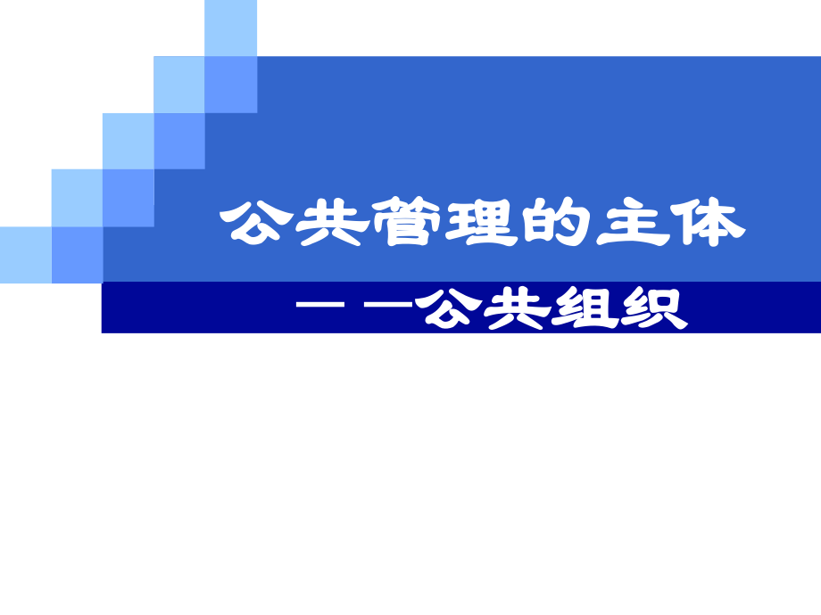 公共管理的主体.ppt_第1页
