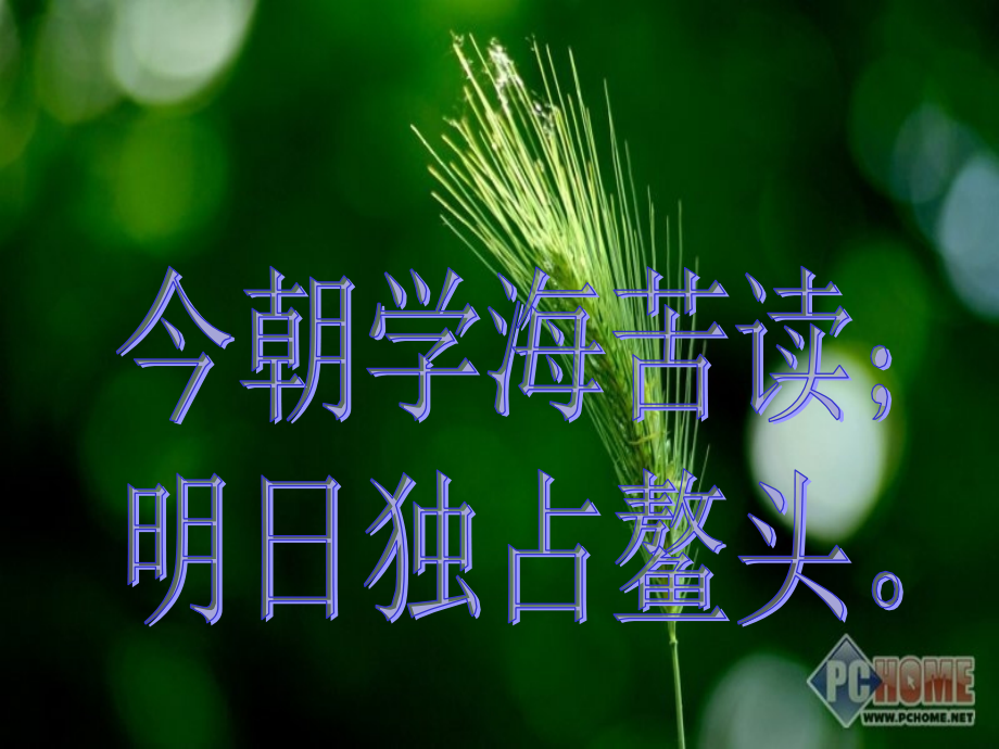 中考真题展示及讲解.ppt_第1页