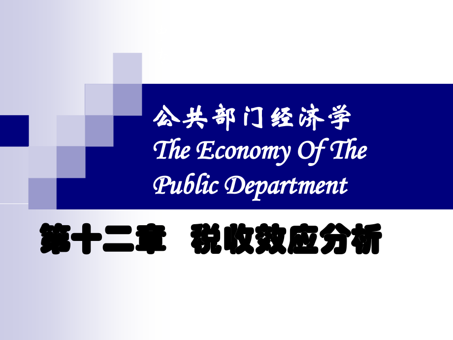 公共部门经济学12.ppt_第1页