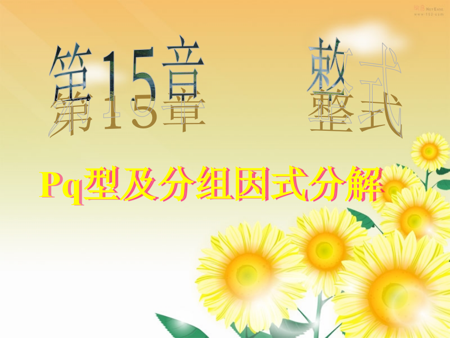 pq型因式分解.ppt_第1页