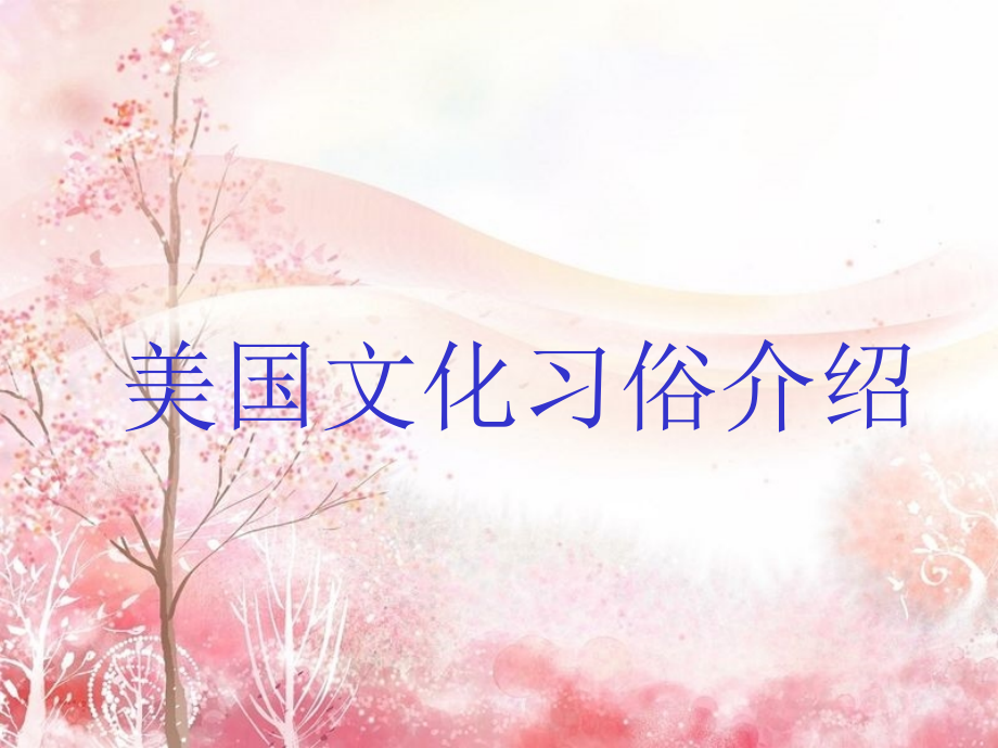 美国文化习俗.ppt_第1页