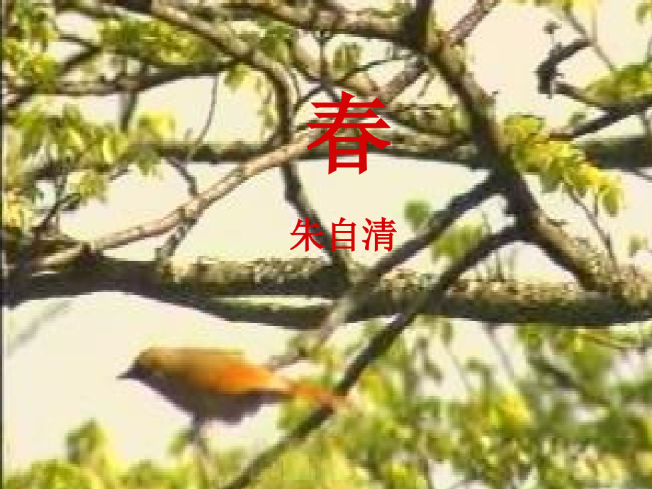 《春》课件03xx.ppt_第1页