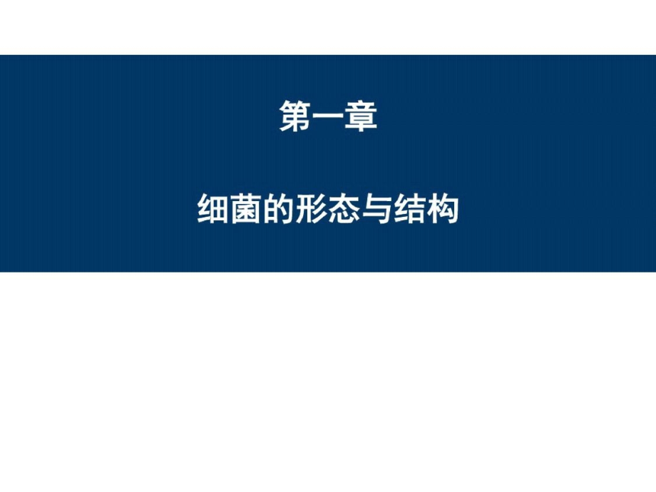 细菌的形态与结构ppt课件.pptx_第1页