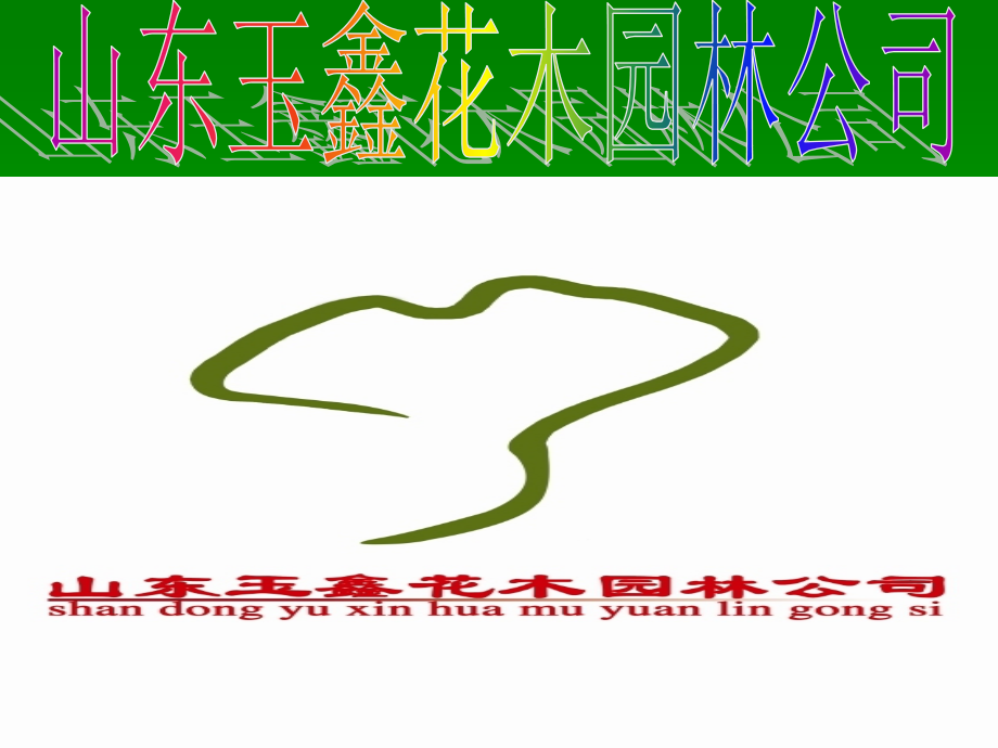 山东玉鑫花木园林公司简介(中).ppt_第1页