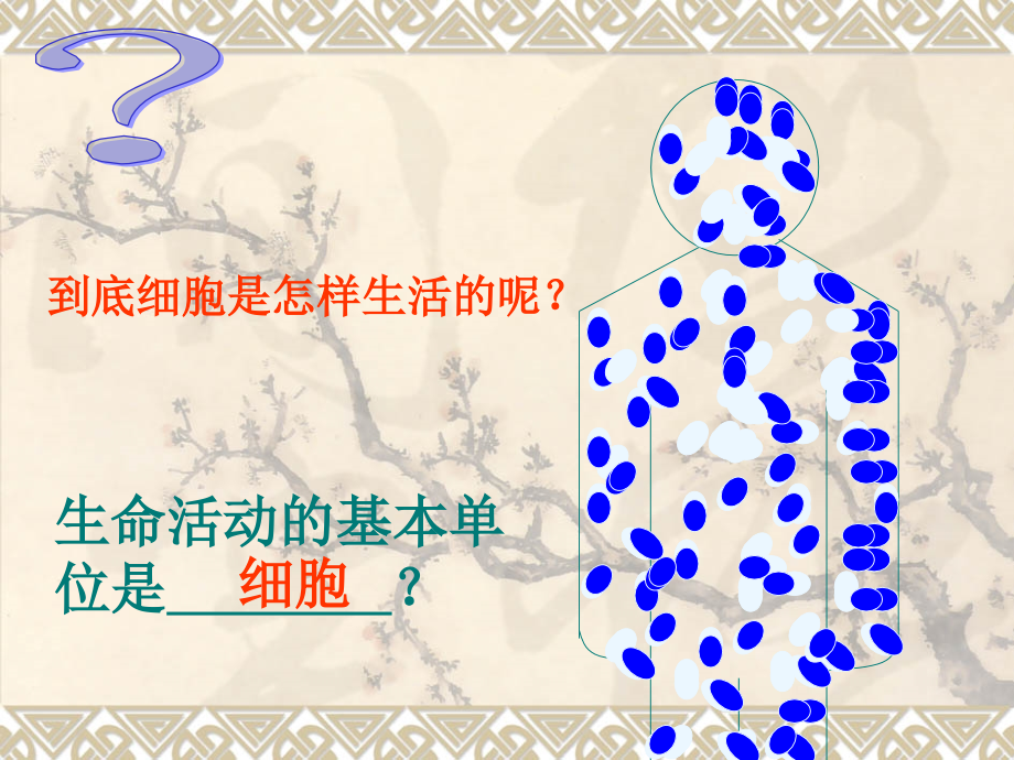 第一节细胞的生活.ppt_第2页