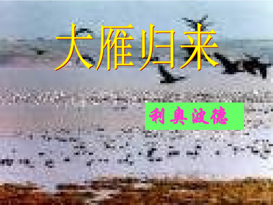 八年级《大雁归来》ppt课件.ppt_第2页