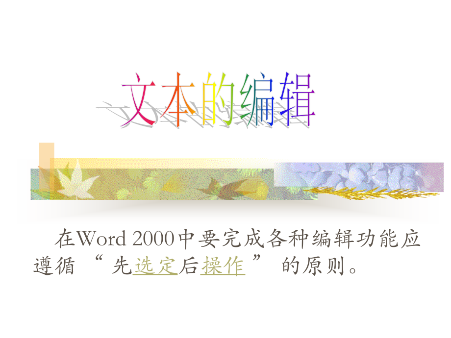 文本的编辑PPT课件.ppt_第1页