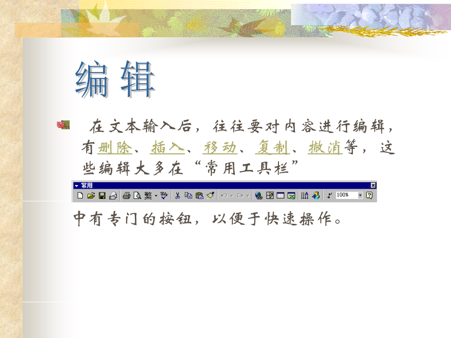 文本的编辑PPT课件.ppt_第2页