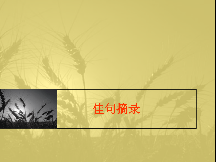 经典语录1.ppt_第1页