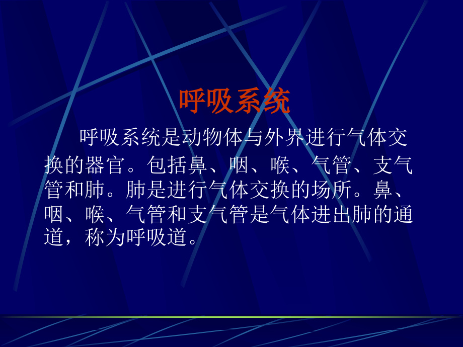 畜禽解剖学——呼吸系统.ppt_第1页