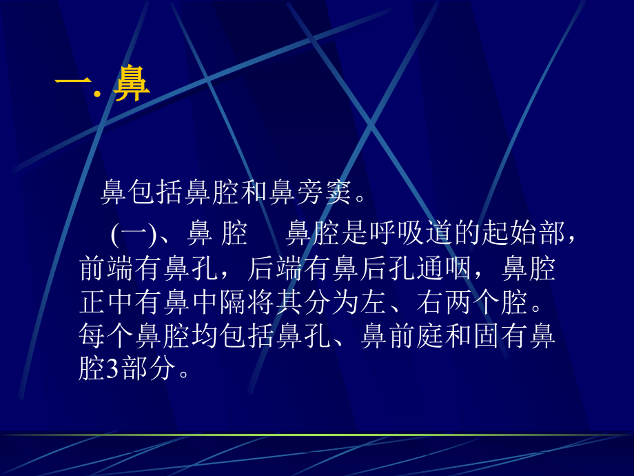 畜禽解剖学——呼吸系统.ppt_第2页