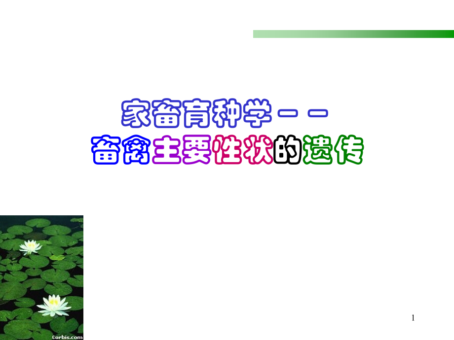 动物育种学-第三章-畜禽主要性状的遗传.ppt_第1页