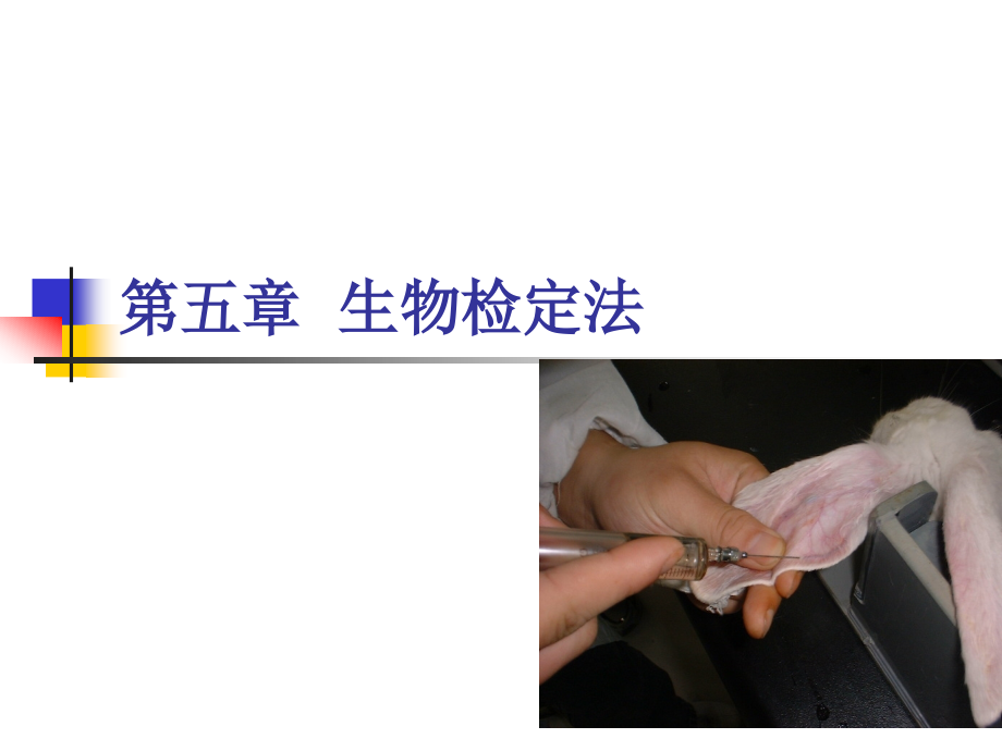 生物检定法.ppt_第1页