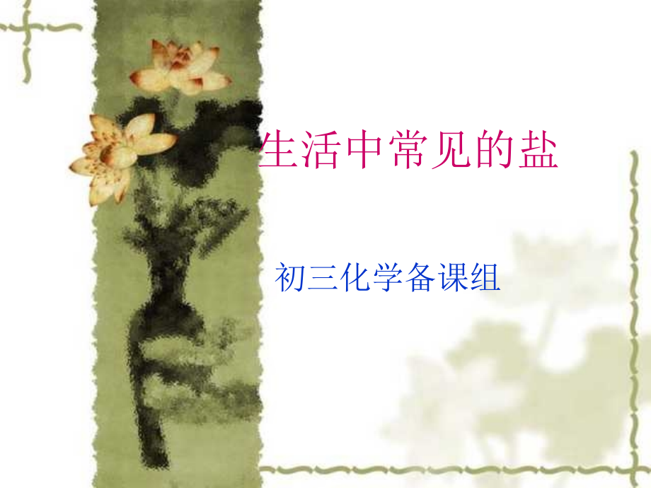 九年级化学 生活中常见的盐.ppt_第1页