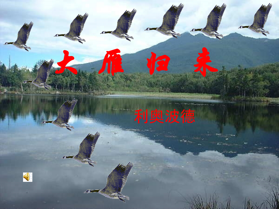 大雁归来16.ppt_第1页
