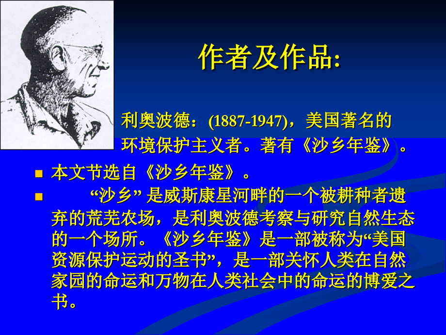 大雁归来16.ppt_第2页