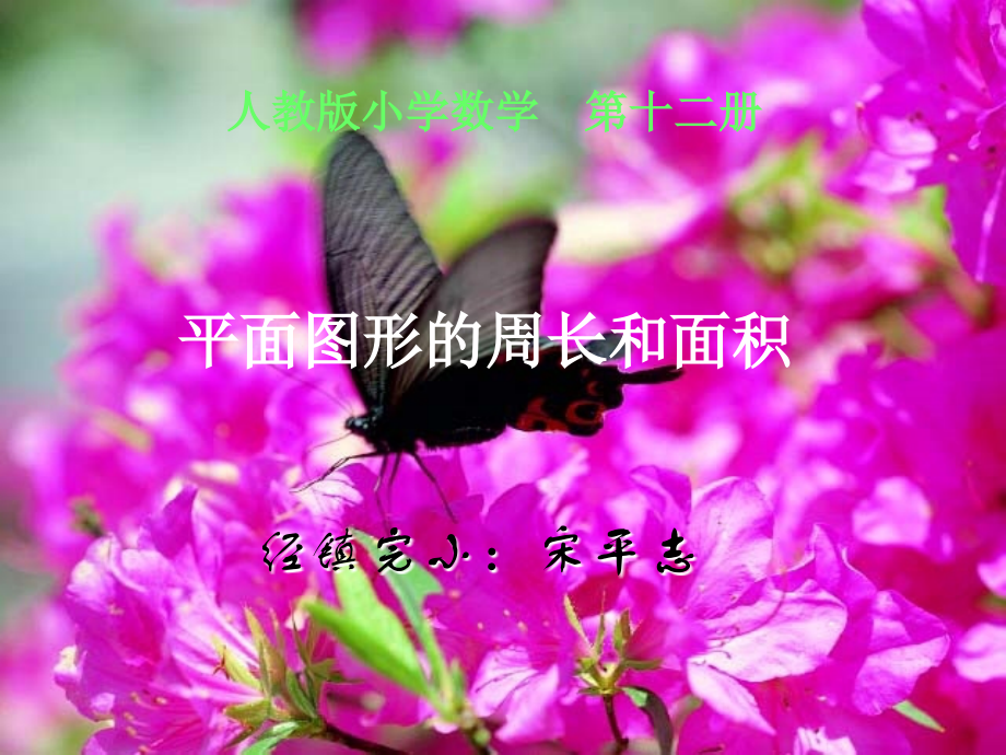 平面图形的周长和面积课件(人教版小学数学六年级下册课件).ppt_第1页