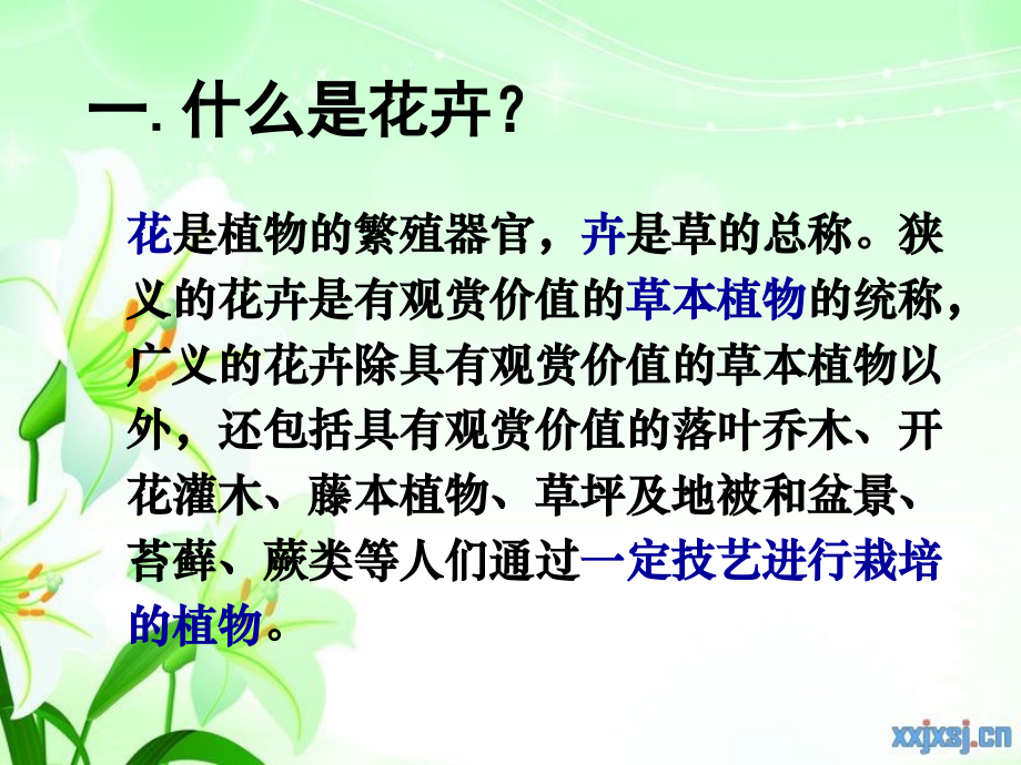 ppt花卉分类.ppt_第2页