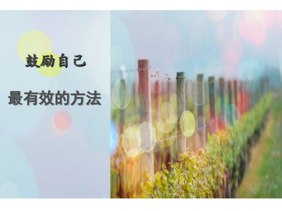 鼓励自己最有效的方法.ppt_第1页