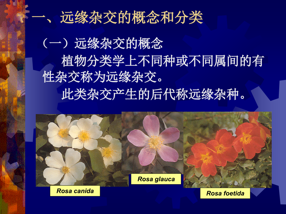 [园林植物育种学课件]-第5章远缘杂交育种.ppt_第2页