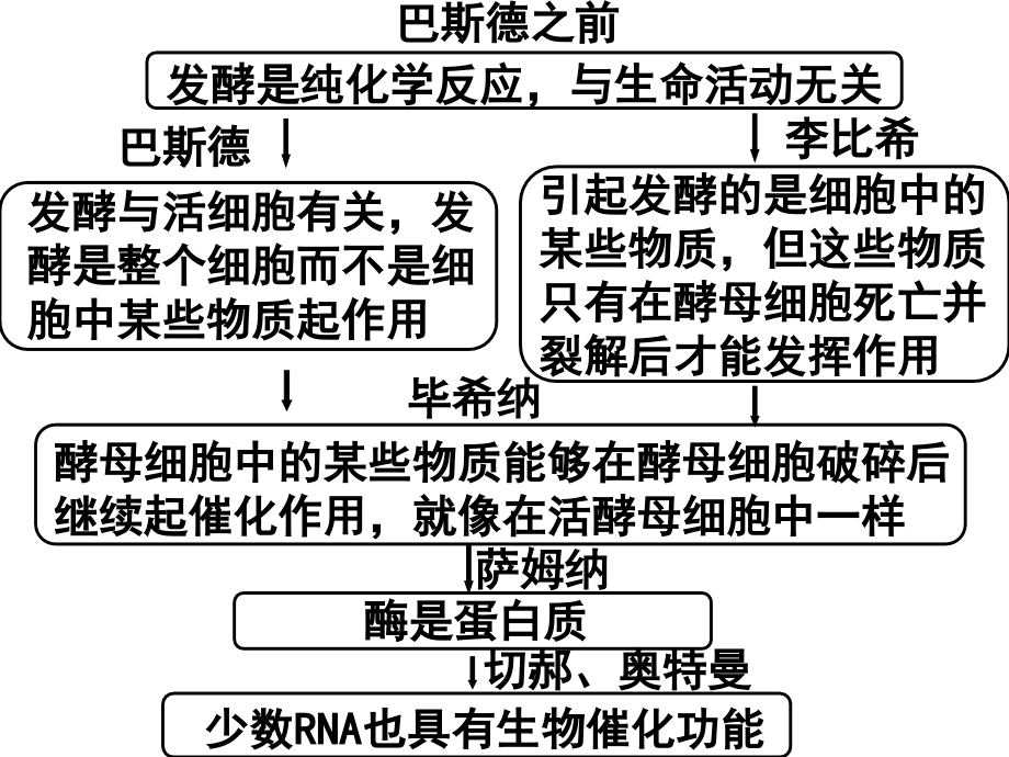 降低化学反应活化能的酶1.ppt_第2页