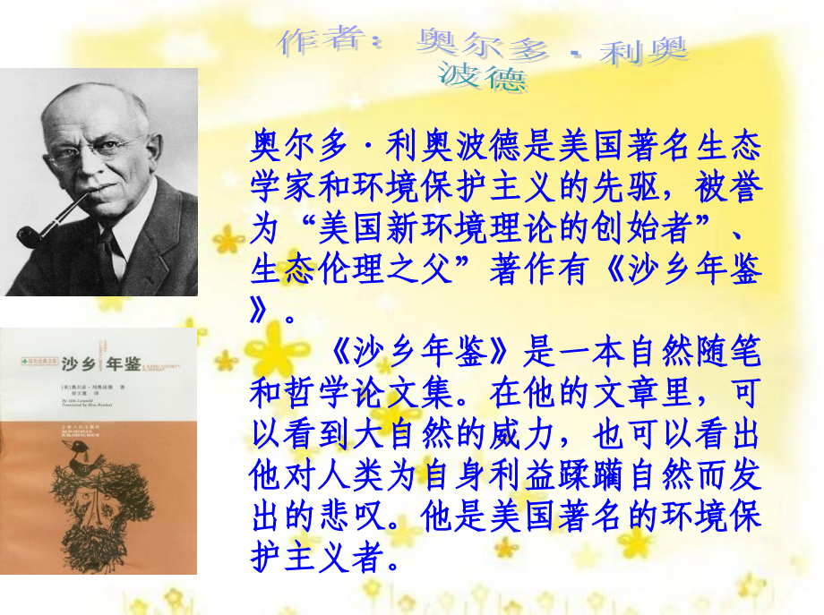 大雁归来22.ppt_第2页