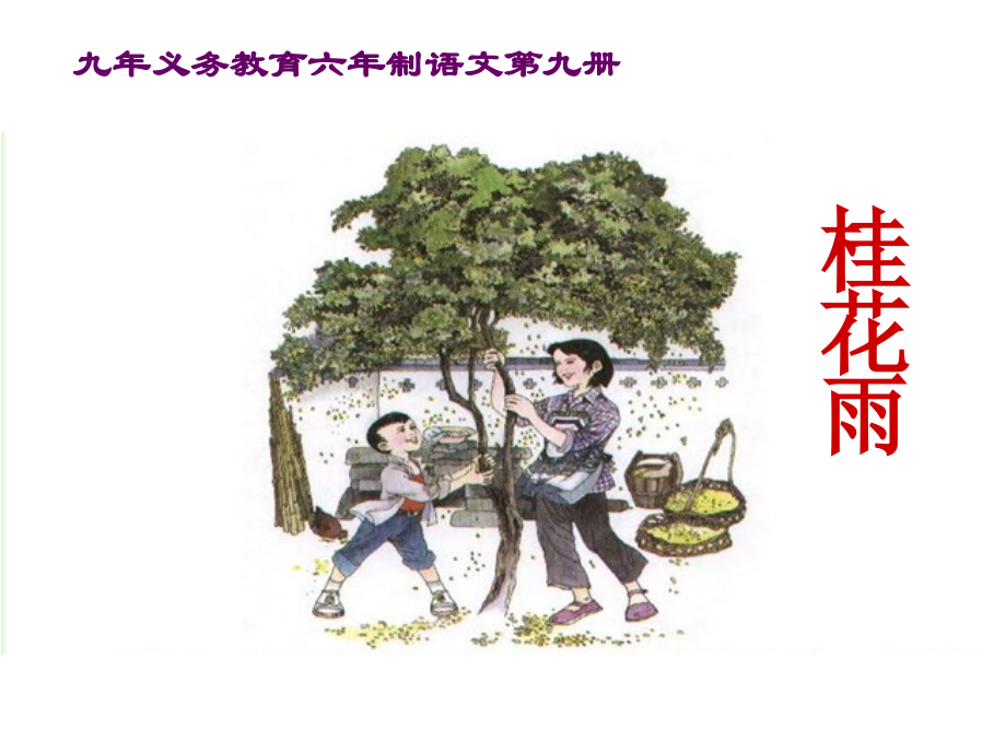 《桂花雨》ppt课件【13页】.ppt_第1页
